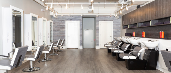 Steve DeLuca's Salon Salon Photo 3